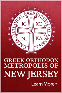 Visit the website of the Metropolis of New Jersey